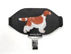 spaniel welsh springer 2(1)(1) copy